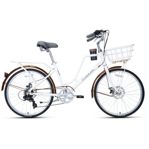 Xe Đạp Đường Phố Touring RAPTOR Mocha 1 - Phanh Đĩa, Bánh 24 Inch